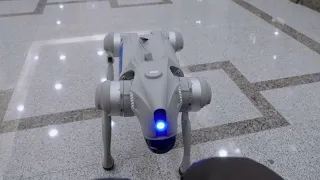 DeCloakBrain AipA Robotic System